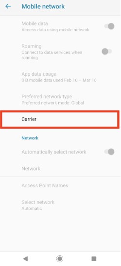 Step 2: Access Mobile Network and Carrier Settings